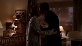 x档案h版在线播放,揭秘未知世界的惊悚冒险之旅