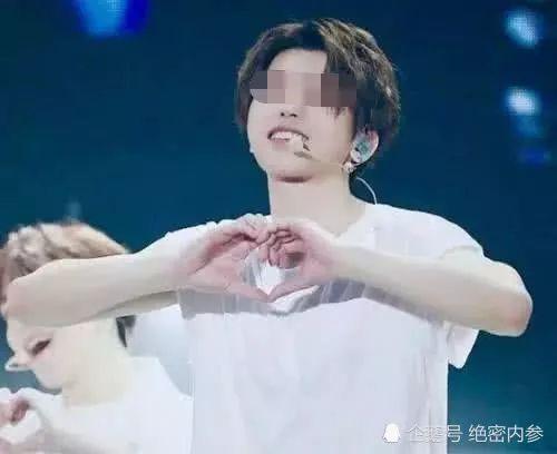 明星 到手 收入,到手收入背后的真相与数字