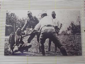 打倒日本去,打倒日本，民族复兴之路