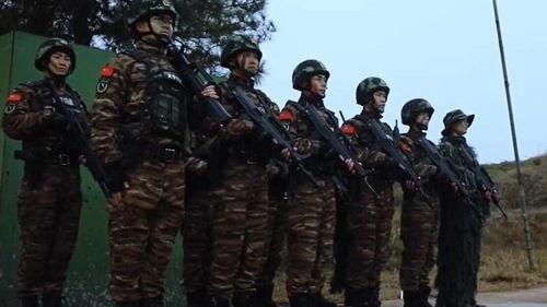 武警视频,守护平安的钢铁卫士
