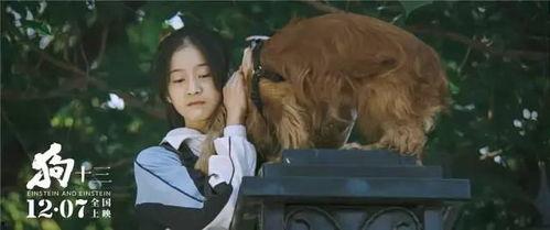 狗十三 免费观看,免费观影，重温成长岁月