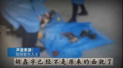 鑫宇失踪知情者爆料视频,知情者爆料视频揭露惊人内幕