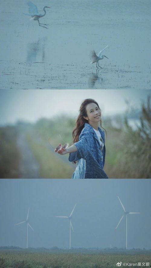 那些明星来崇明,星光熠熠，明星足迹探寻之旅