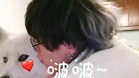 12人教师在线播放,共筑教育新篇章