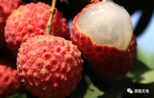 娱乐吃瓜酱荔枝视频,娱乐吃瓜酱带你揭秘娱乐圈幕后故事