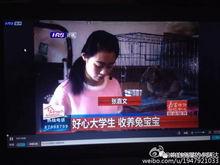 阿达娱乐吃瓜,揭秘娱乐圈最新吃瓜事件,带你领略明星幕后故事