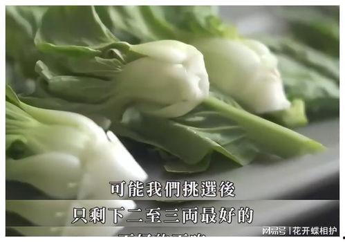 娱乐圈什么真瓜可以吃,那些你绝对不能错过的真实瓜料!