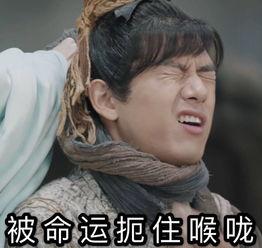 娱乐圈吃瓜杨紫李现,娱乐圈瓜田里的甜蜜果实