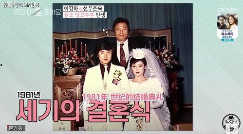 综艺小说多集娱乐圈吃瓜,多集综艺吃瓜大揭秘