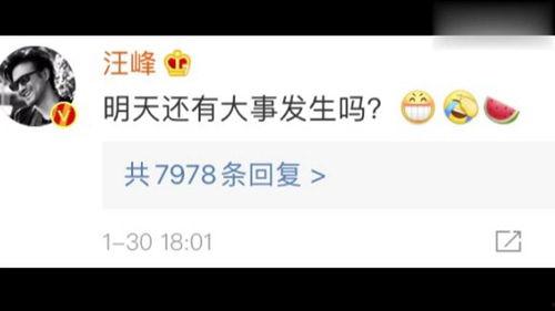 绑定娱乐圈吃瓜系,吃瓜群众深度解析