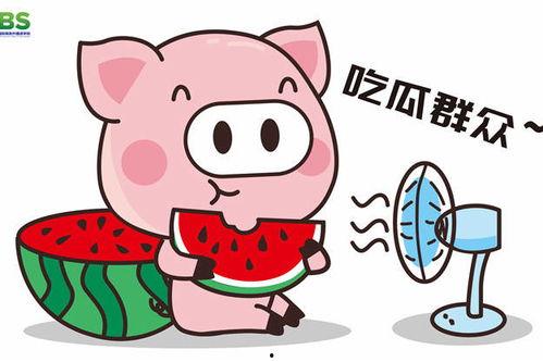 娱乐吃瓜酱的素材,吃瓜酱带你探秘明星幕后故事
